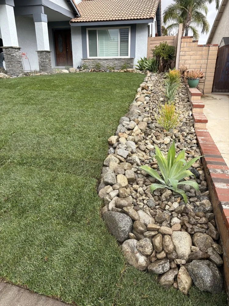 Professional yard cleanup service for homes across Chino, CA - Rocha Landscaping