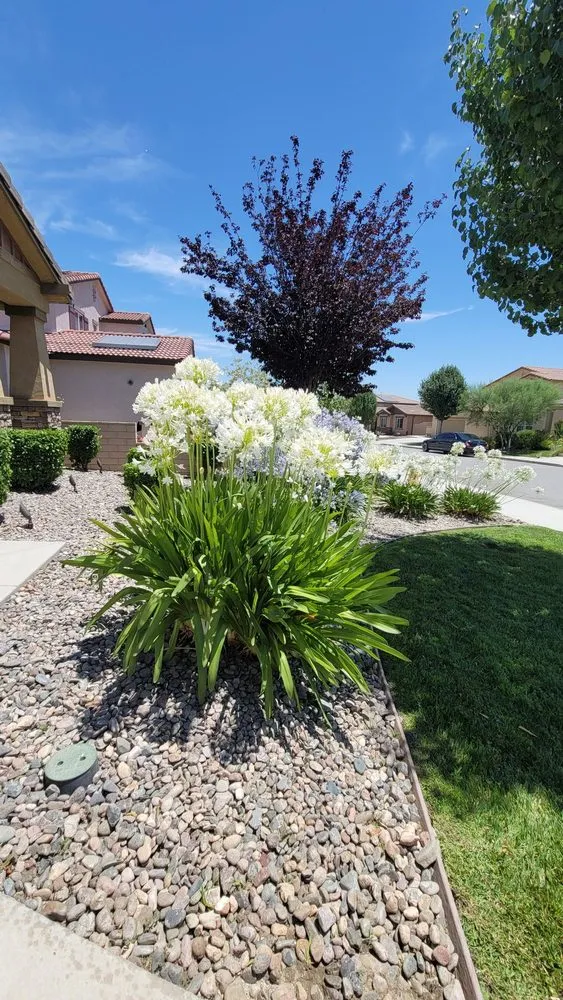 Trusted residential landscaping in Chino, CA by Rocha Landscaping