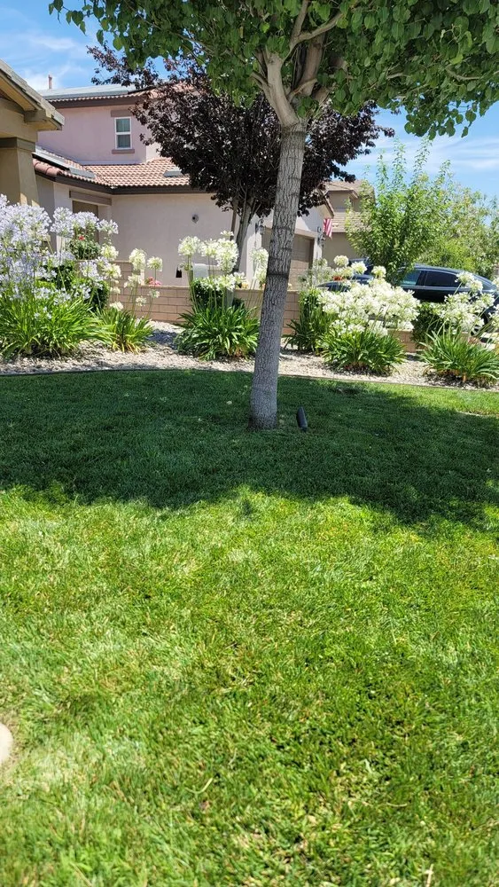 Trusted landscape design in Chino, CA by Rocha Landscaping