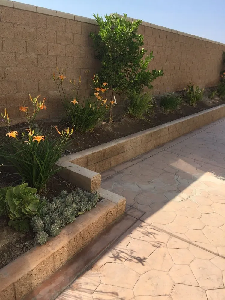 Expert lawn care service in Chino, CA by Rocha Landscaping