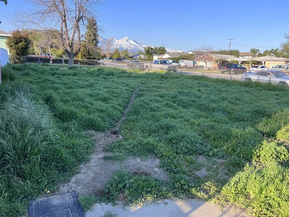 Trusted yard cleanup service in Chino, CA - Rocha Landscaping