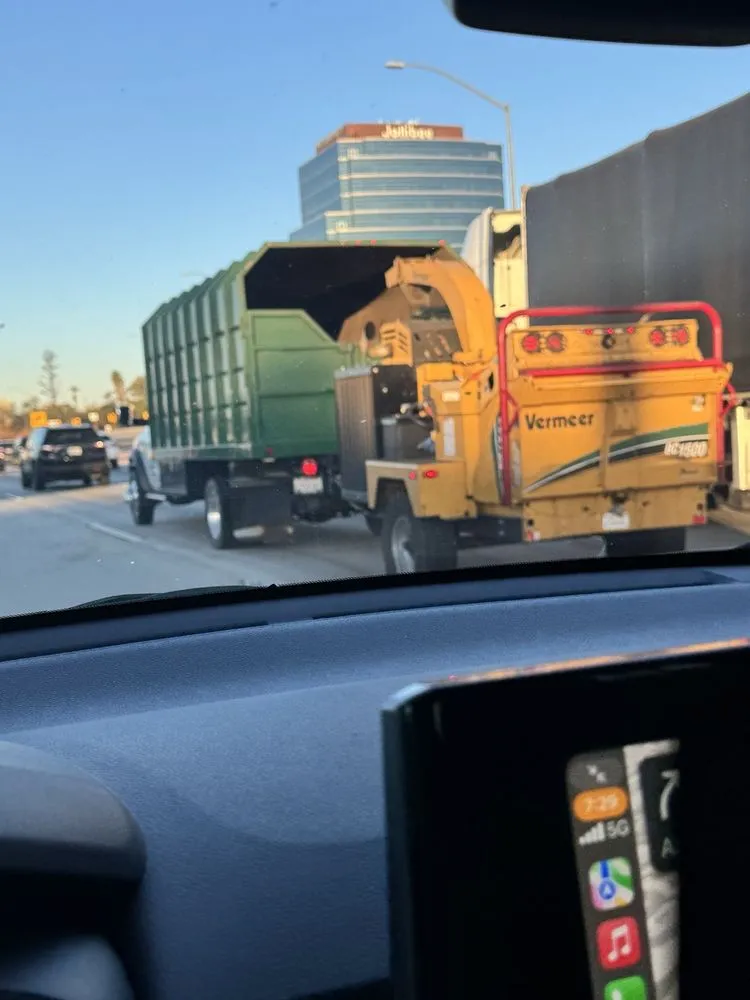 Expert yard cleanup service in Chino, CA - Rocha Landscaping