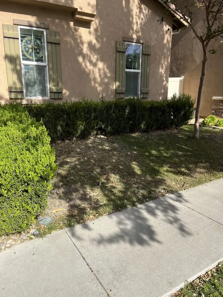 Local outdoor landscaping for residential properties in Chino, CA by Rocha Landscaping