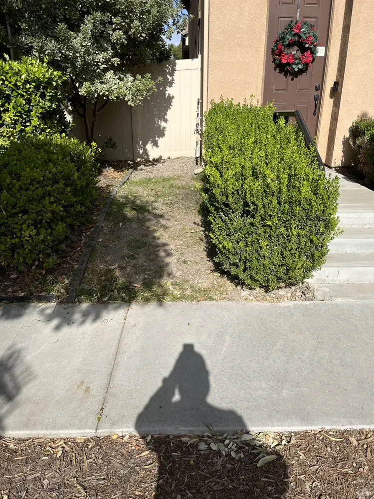 Reliable yard maintenance experts serving Chino, CA - Rocha Landscaping