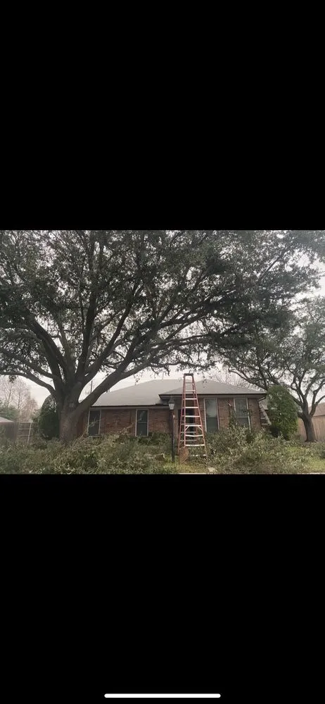 Custom outdoor landscaping for year-round maintenance across Lewisville, TX - Rocha lawn service