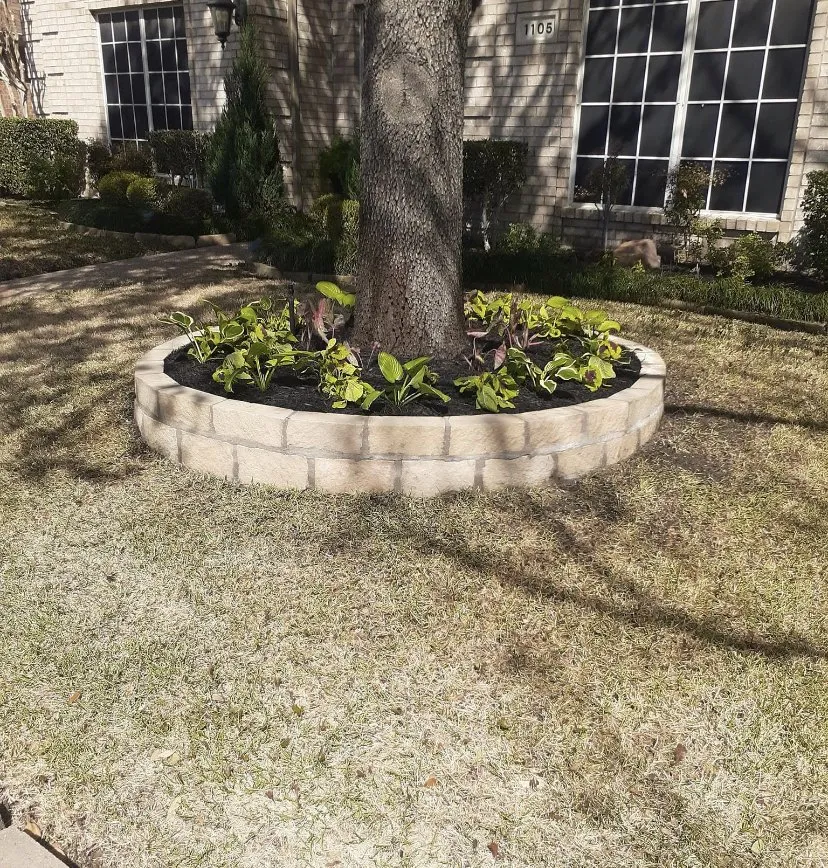 Reliable landscaping services experts serving Lewisville, TX - Rocha lawn service