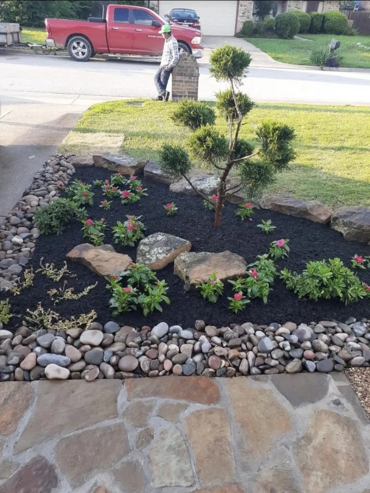 Affordable lawn care service in Lewisville, TX by Rocha lawn service