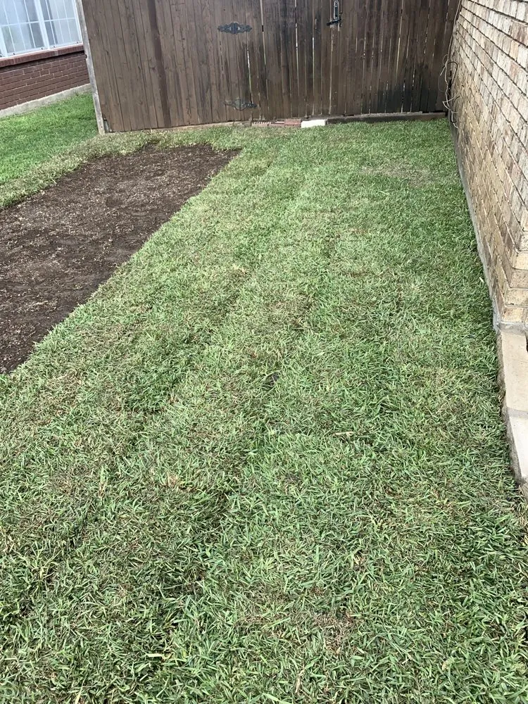 Reliable yard maintenance with custom design in Lewisville, TX by Rocha lawn service