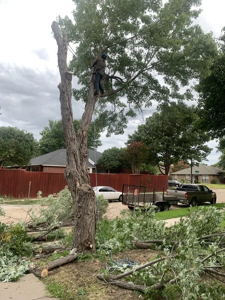 Top-rated lawn mowing service in Lewisville, TX by Rocha lawn service