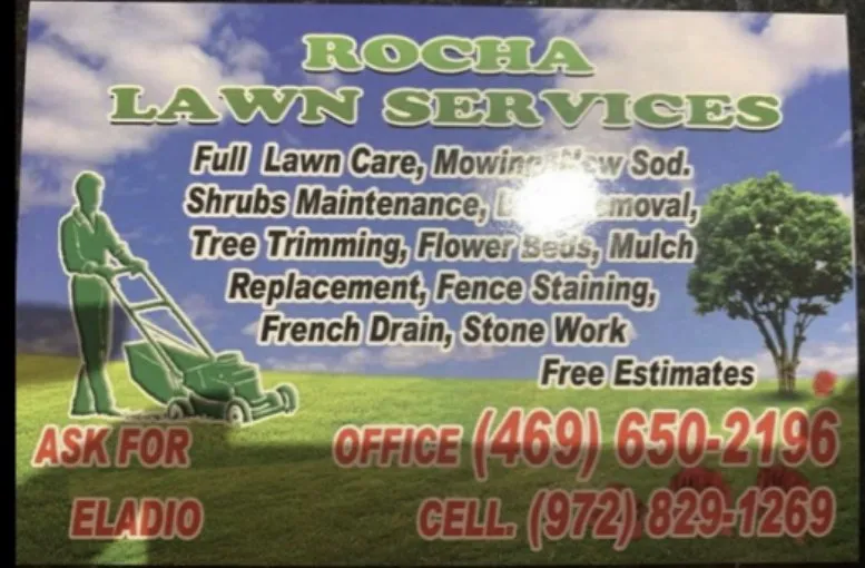 Reliable residential landscaping for beautiful yards in Lewisville, TX by Rocha lawn service