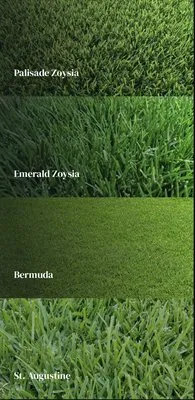 Rocha lawn service Logo