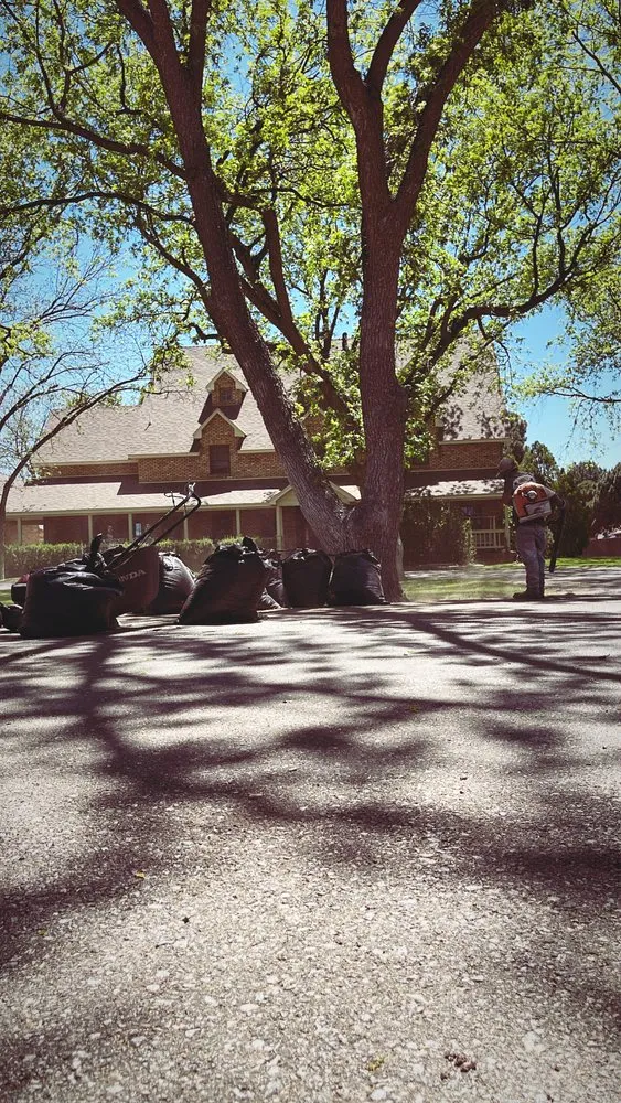 Expert yard cleanup service in Carlsbad, NM by Rocha's Landscaping