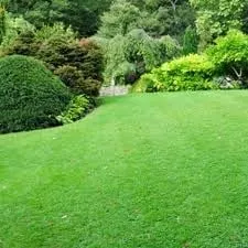Affordable residential landscaping in Visalia, CA - Rocha's Lawn Care