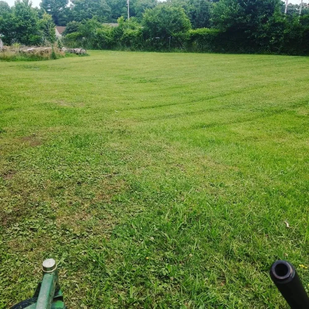 Professional lawn mowing service for homes across Gardner, IL - Rocha's Lawn Service