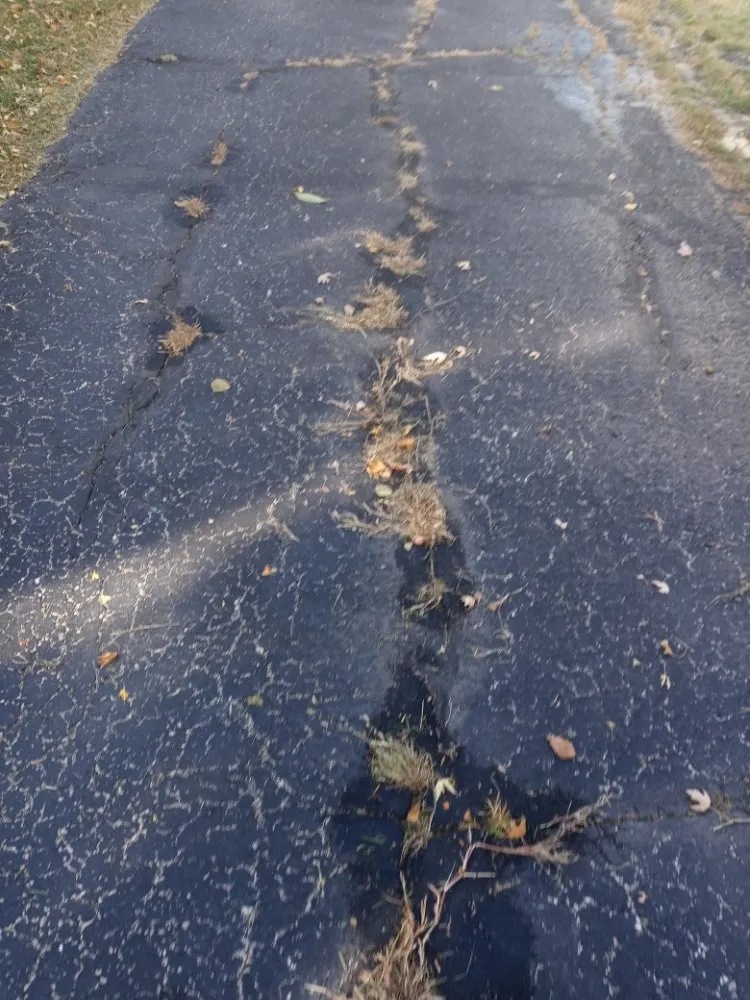 Professional landscape installation in Gardner, IL by Rocha's Lawn Service