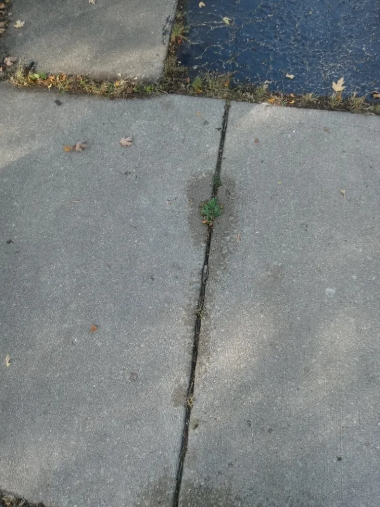 Professional landscape design in Gardner, IL - Rocha's Lawn Service