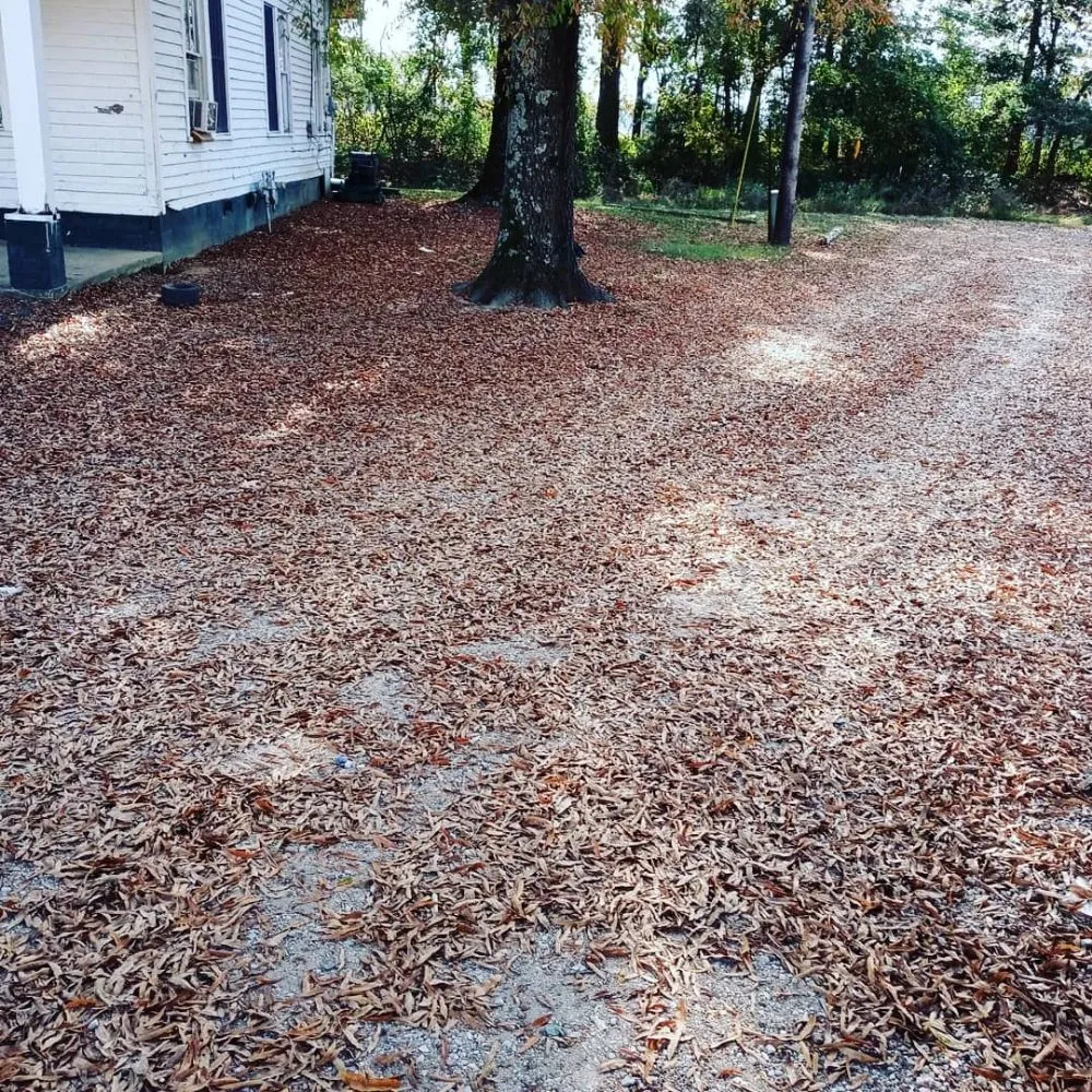 Reliable landscape design for year-round maintenance in Gardner, IL by Rocha's Lawn Service