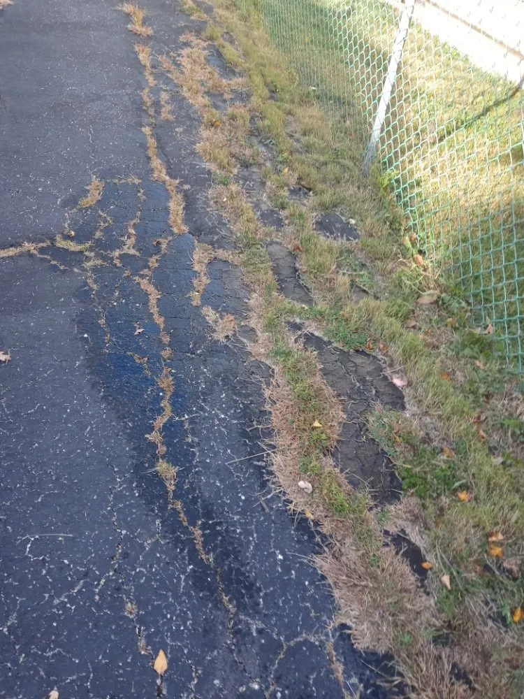 Custom lawn mowing service for homes across Gardner, IL - Rocha's Lawn Service