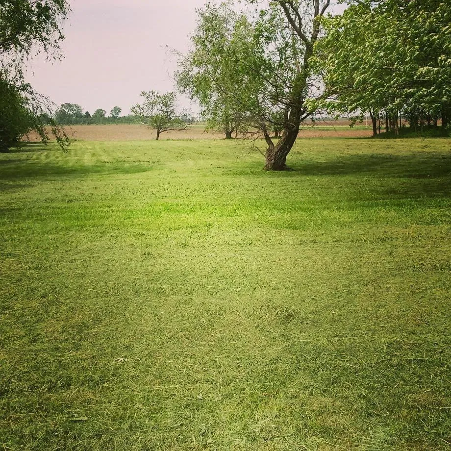 Professional landscaping services for outdoor upgrades across Gardner, IL - Rocha's Lawn Service