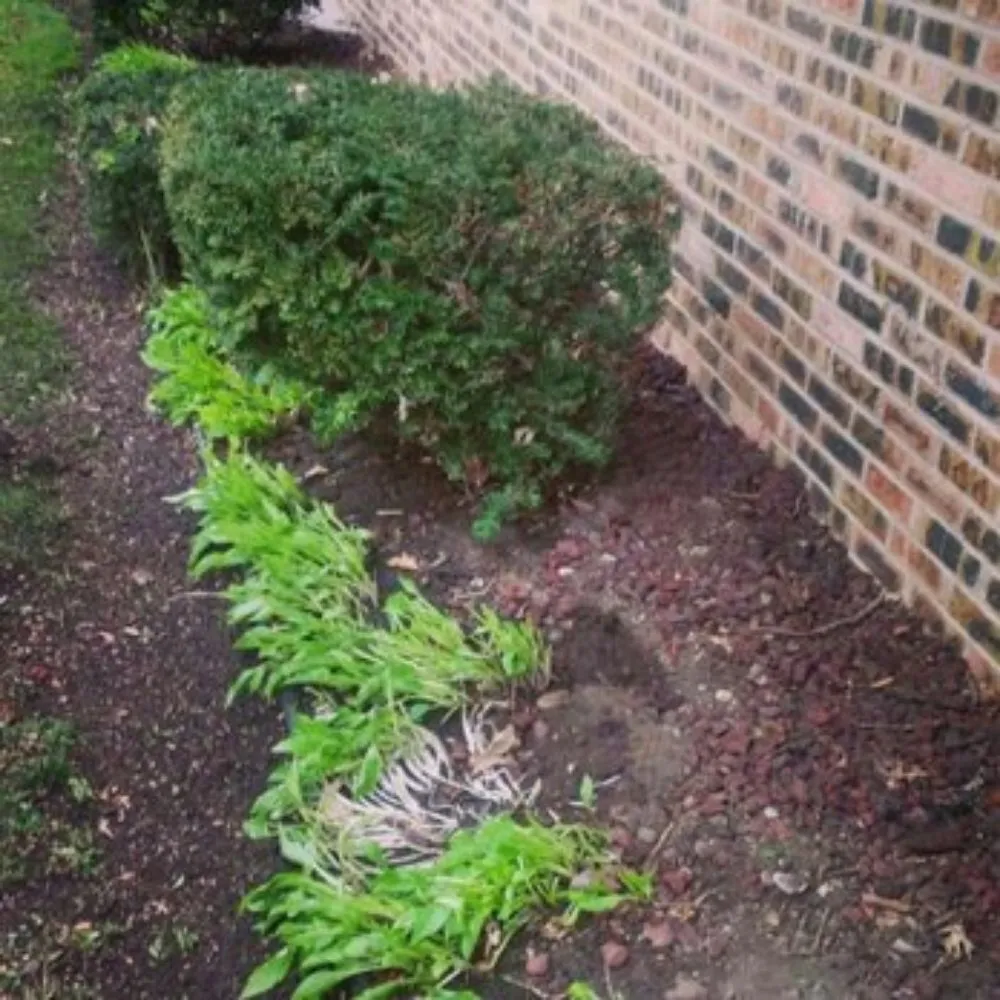 Top-rated landscape installation experts serving Gardner, IL - Rocha's Lawn Service