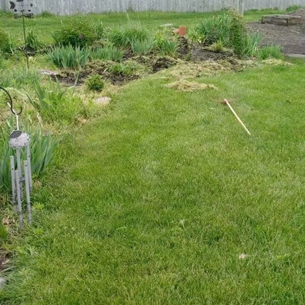 Professional outdoor landscaping for residential properties in Gardner, IL by Rocha's Lawn Service