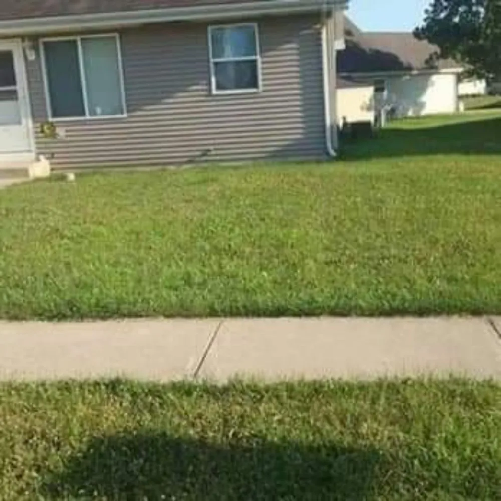 Local landscaping services experts serving Gardner, IL - Rocha's Lawn Service