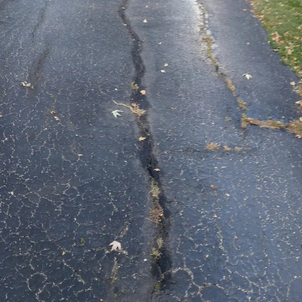 Expert yard maintenance in Gardner, IL - Rocha's Services