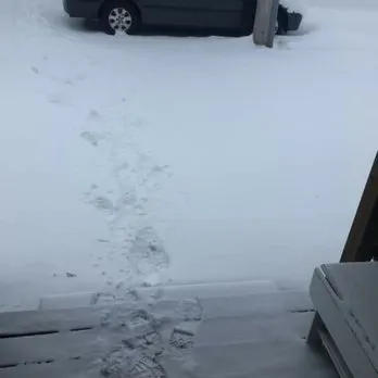 Custom residential landscaping with custom design in Gardner, IL by Rocha's Services