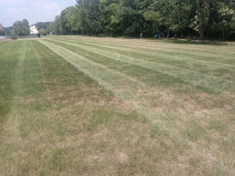 Custom landscape installation experts serving Gardner, IL - Rocha's Services