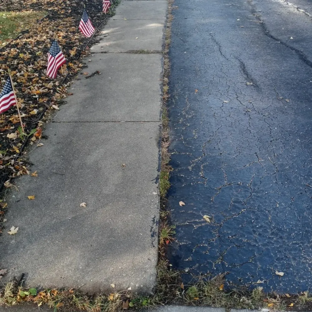 Affordable landscaping services in Gardner, IL by Rocha's Services