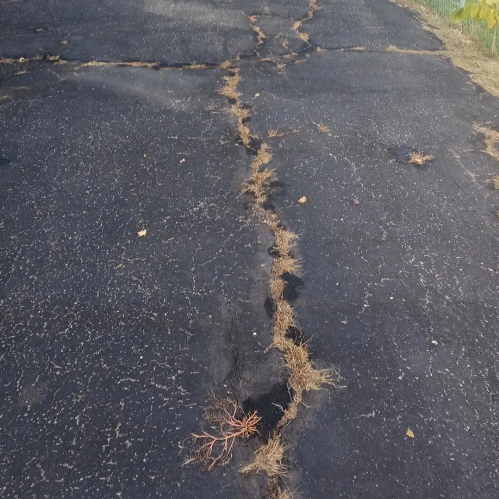 Professional landscaping services experts serving Gardner, IL - Rocha's Services