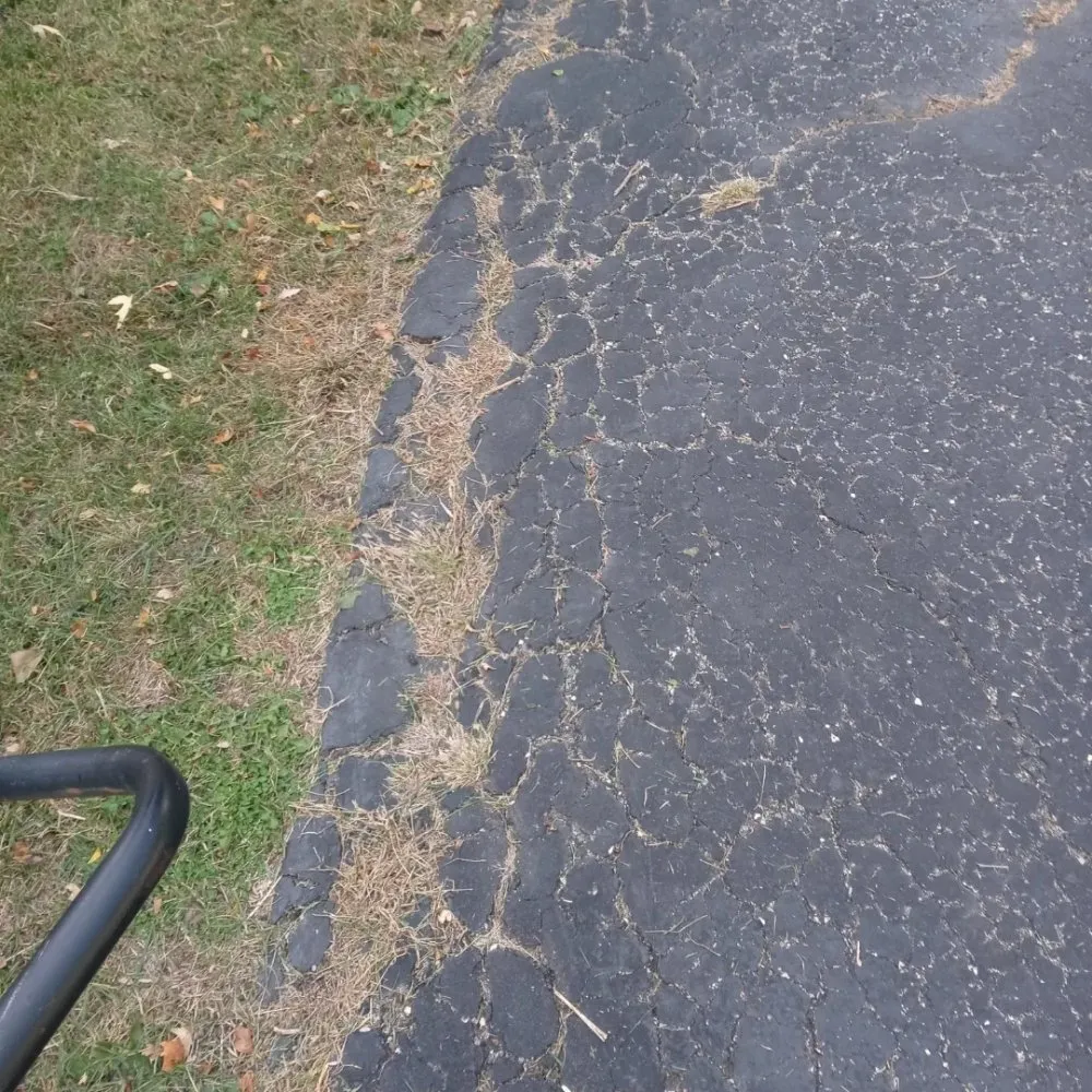 Expert lawn care service experts serving Gardner, IL - Rocha's Services