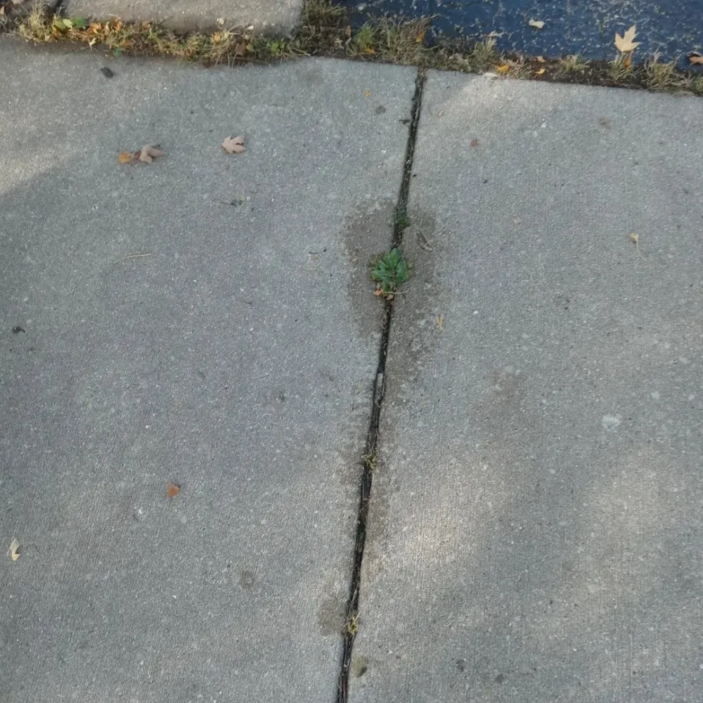 Custom landscape design with custom design across Gardner, IL - Rocha's Services