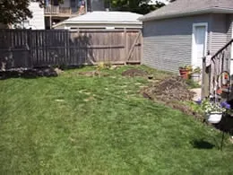 Expert lawn care service in Chicago, IL by Roche Landscaping
