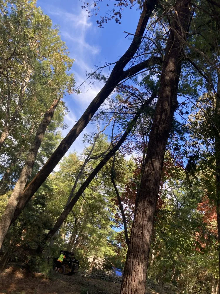 Reliable lawn mowing service in Old Lyme, CT by Roches Scape And Design