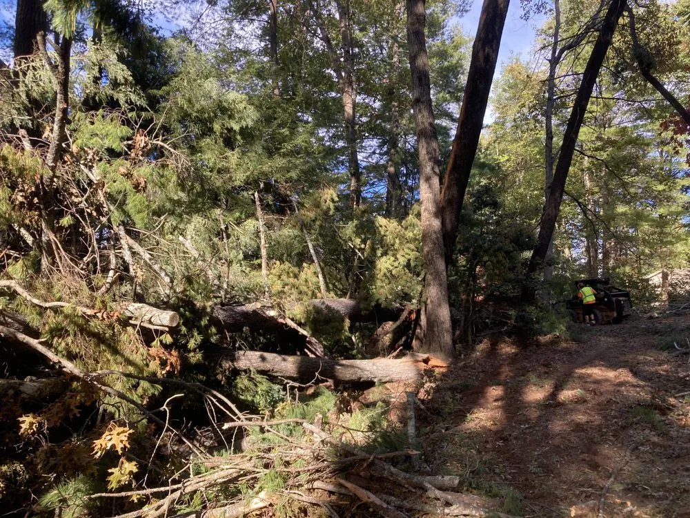 Affordable landscape installation in Old Lyme, CT by Roches Scape And Design