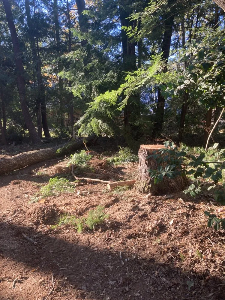 Expert lawn care service in Old Lyme, CT - Roches Scape And Design