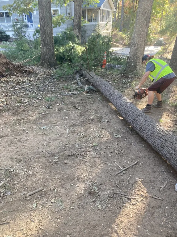 Affordable outdoor landscaping experts serving Old Lyme, CT - Roches Scape And Design