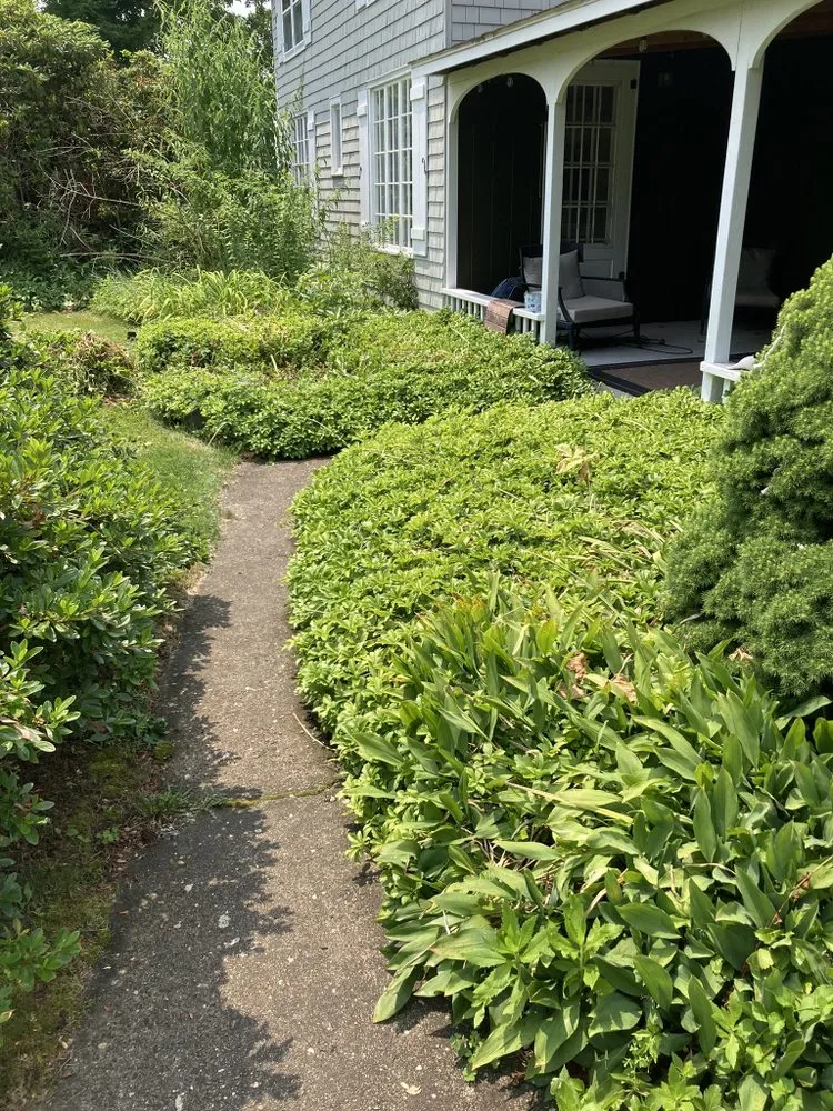 Trusted lawn care service in Old Lyme, CT - Roches Scape And Design