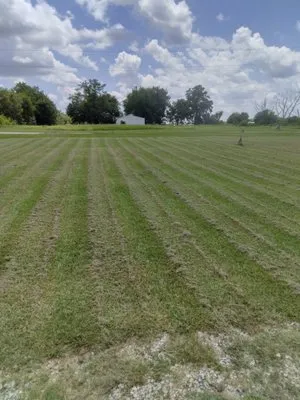 Rochester Lawn and Order