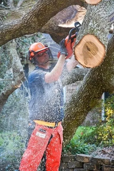 Trusted landscape installation in Rochester, MN by Rochester MN Tree Service