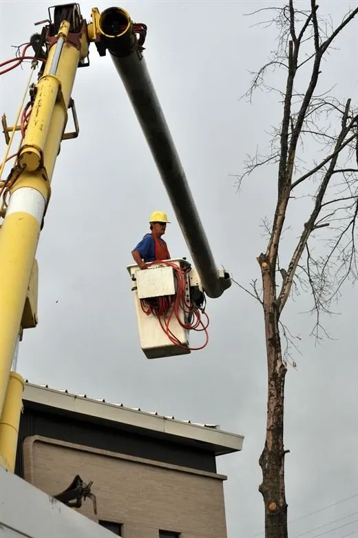 Top-rated garden landscaping for residential properties across Rochester, MN - Rochester MN Tree Service