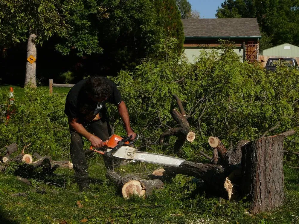Professional landscape design in Rochester, MN - Rochester MN Tree Service