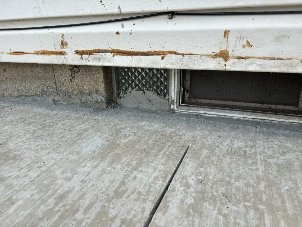 Professional yard maintenance for year-round maintenance in Rochester, NY by Rochester Patio And Landscape