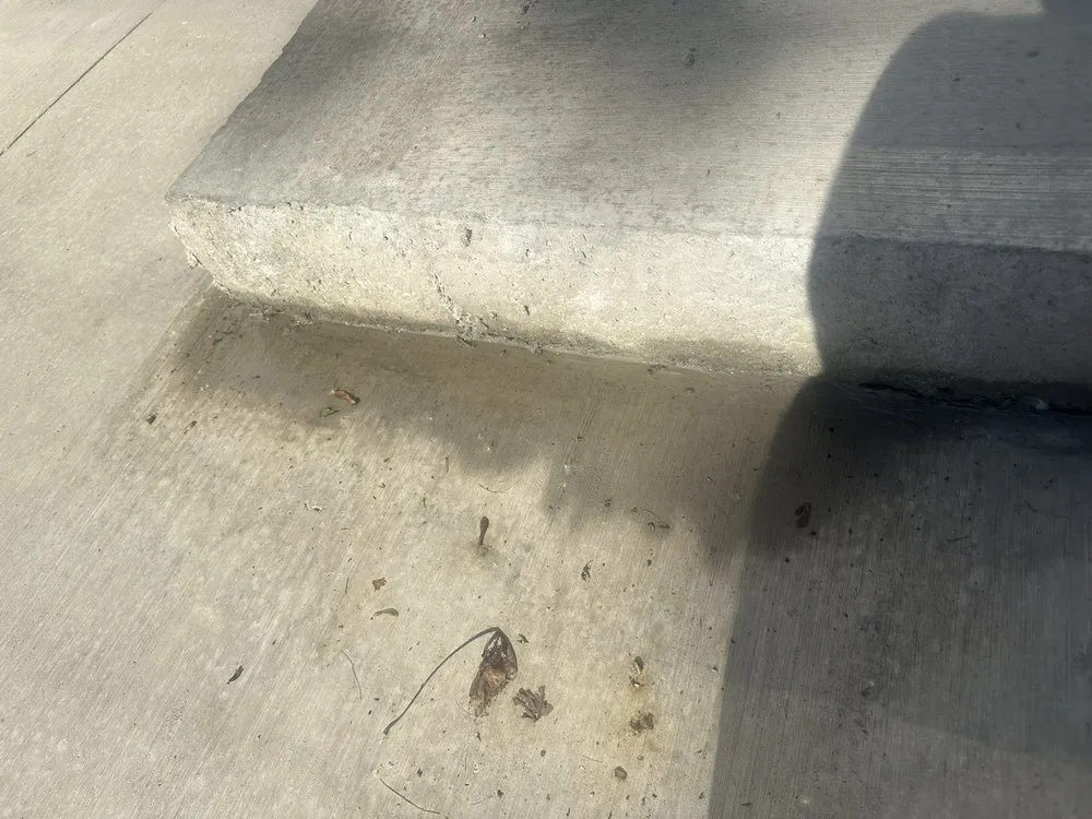 Reliable yard cleanup service in Rochester, NY - Rochester Patio And Landscape