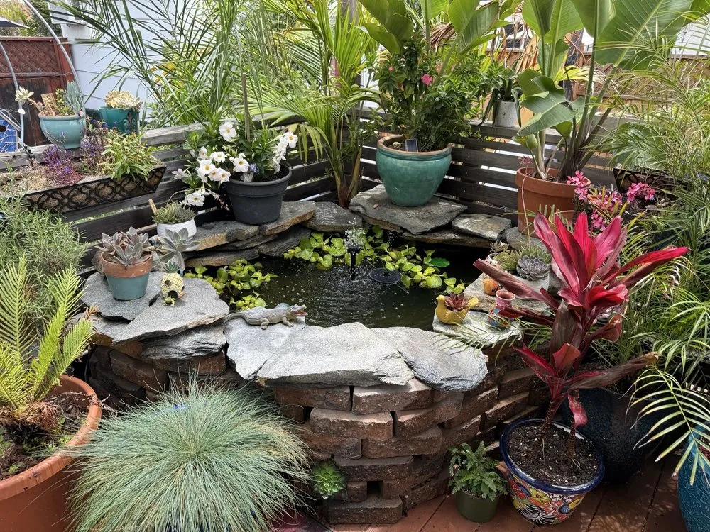 Professional outdoor landscaping for year-round maintenance in El Cajon, CA by Rock & Block