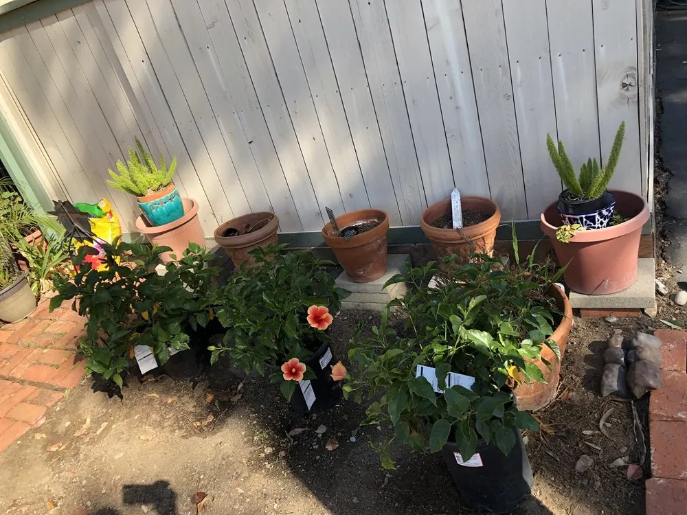 Reliable residential landscaping for year-round maintenance in El Cajon, CA by Rock & Block