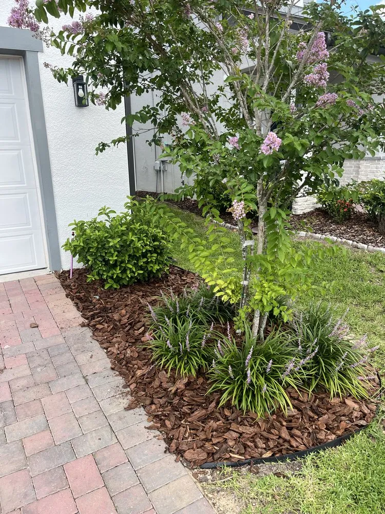 Professional landscape design for residential properties across St. Cloud, FL - Rock & Root Custom Landscaping