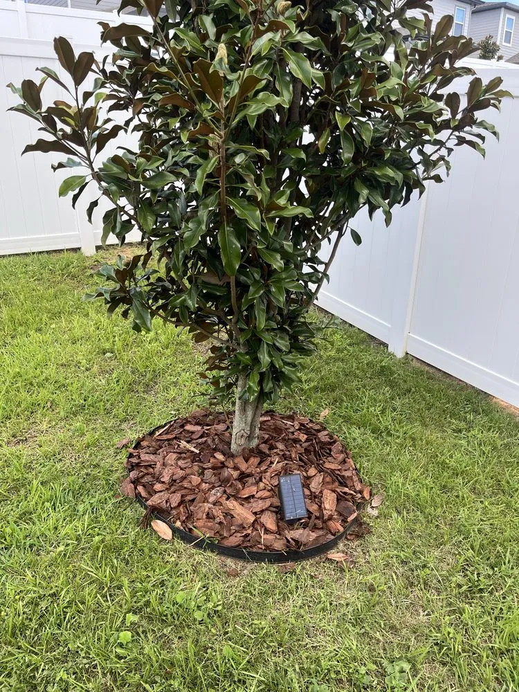 Trusted lawn care service in St. Cloud, FL - Rock & Root Custom Landscaping