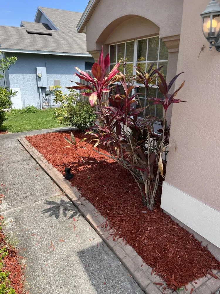 Local landscape design for residential properties across St. Cloud, FL - Rock & Root Custom Landscaping